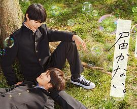 微笑家庭海报剧照